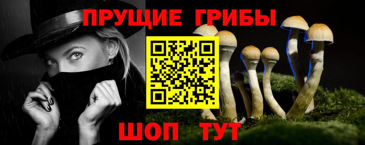 Псилоцибиновые грибы прущие грибы Амурск