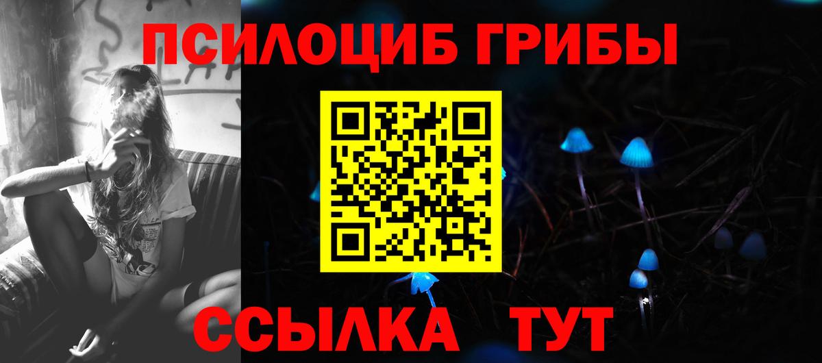 Галлюциногенные грибы Psilocybine cubensis  Вход с VPN  Амурск 